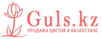 Туркестан