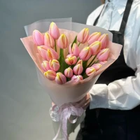 21 Mango tulips